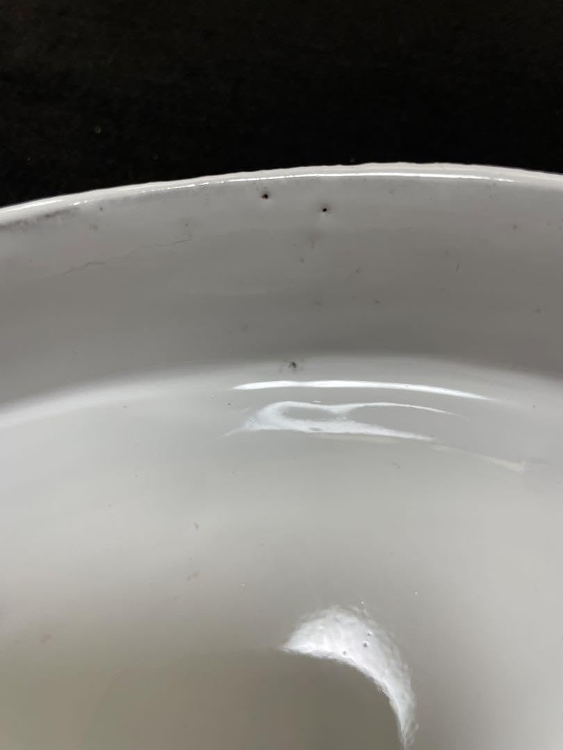 Amazon.co.jp: シンプルラージプラッター ASTIER de VILATTE